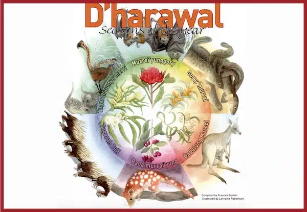 illustrated-encyclopedia-of-healing-remedies-520px